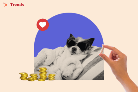 4 Opportunities in The Billion-Dollar Pet Wellness Market